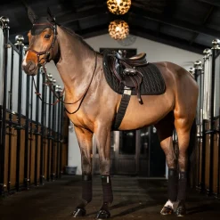 Horseware Ireland Amigo GP Saddle Pad