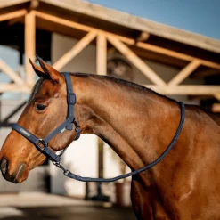 Horseware Ireland Amigo Headcollar & Leadrope Set