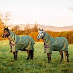 Horseware Ireland Amigo Hero 0g Turnout Rug