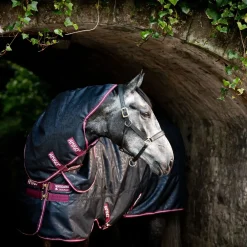 Horseware Ireland Amigo Hero 0g Turnout Rug