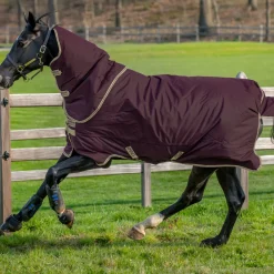 Horseware Ireland Amigo Hero 0g Turnout Rug