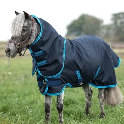 Horseware Ireland Amigo Hero 6 Petite Plus Medium
