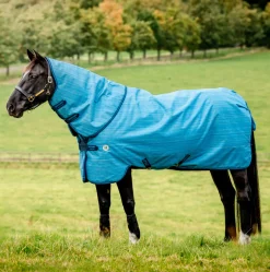 Horseware Ireland Amigo Hero 900 Revive Plus 50g