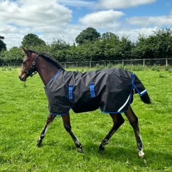 Horseware Ireland Amigo Ripstop 900D 50g Foal Turnout Rug