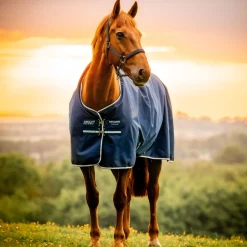Horseware Ireland Amigo Ripstop 900D Pony 0g Turnout Rug