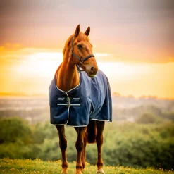 Horseware Ireland Amigo Ripstop 900 Fleece Lined 50g