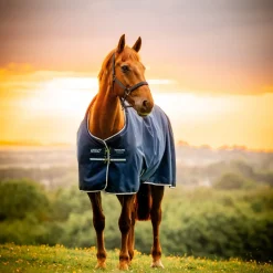Horseware Ireland Amigo Ripstop 900 0g Turnout Rug
