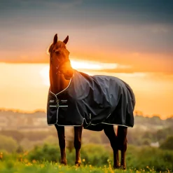 Horseware Ireland Amigo Ripstop 900 0g Turnout Rug
