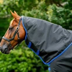 Horseware Ireland Amigo Ripstop 900 Hood 0g