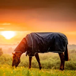 Horseware Ireland Amigo Ripstop 900 Plus 100g