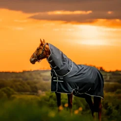 Horseware Ireland Amigo Ripstop 900 Plus 200g