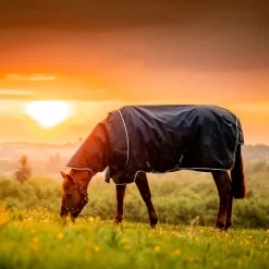 Horseware Ireland Amigo Ripstop 900 Plus 200g