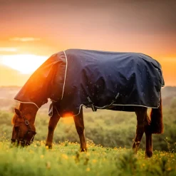 Horseware Ireland Amigo Ripstop 900 Plus 200g