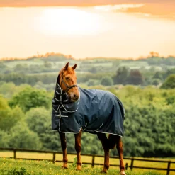 Horseware Ireland Amigo Ripstop 900 Plus 200g