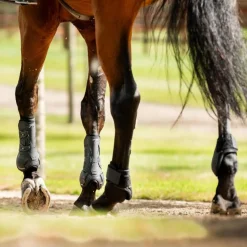Horseware Ireland Classic Fetlock Boots