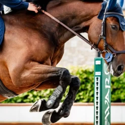 Horseware Ireland Classic Tendon Boots
