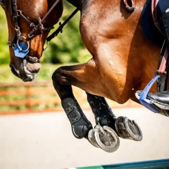 Horseware Ireland Classic Tendon Boots