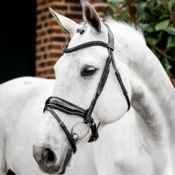 Horseware Ireland Diamante Flash Bridle