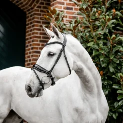 Horseware Ireland Diamante Flash Bridle