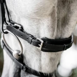 Horseware Ireland Diamante Flash Bridle