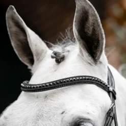 Horseware Ireland Diamante Flash Bridle