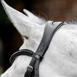 Horseware Ireland Diamante Flash Bridle