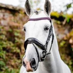 Horseware Ireland Diamante Flash Bridle