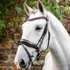 Horseware Ireland Diamante Flash Bridle