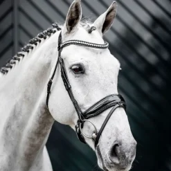 Horseware Ireland Diamante Flash Bridle