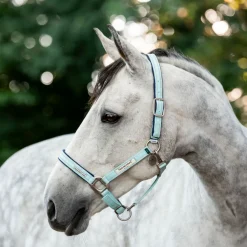 Horseware Ireland Field Safe Headcollar