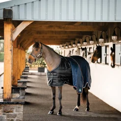 Horseware Ireland Horseware Easy-Layer 100g Stable Rug