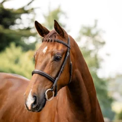 Horseware Ireland Hunter Bridle