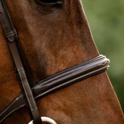 Horseware Ireland Hunter Bridle