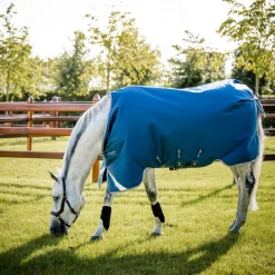 Horseware Ireland Ionic 100g Therapy Turnout Rug