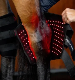 Horseware Ireland LED Red Light Therapy Hock Boot