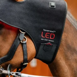 Horseware Ireland LED Red Light Therapy Poll Cap