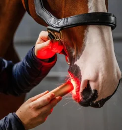 Horseware Ireland LED Red Light Therapy Wand