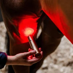 Horseware Ireland LED Red Light Therapy Wand