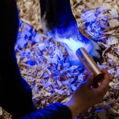 Horseware Ireland LED Red Light Therapy Wand