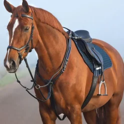Horseware Ireland Micklem Breastplate with Martingale