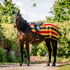 Horseware Ireland Newmarket Exercise Sheet