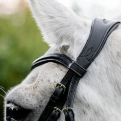 Horseware Ireland Pony Cavesson Bridle