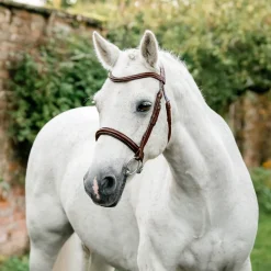 Horseware Ireland Pony Cavesson Bridle