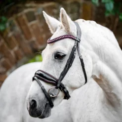 Horseware Ireland Pony Diamante Flash Bridle