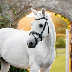 Horseware Ireland Pony Flash Bridle