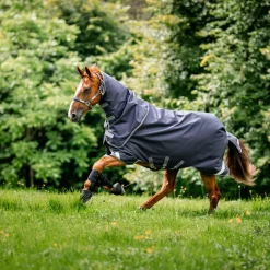Horseware Ireland Rambo Duo Ripstop 100g Plus Turnout Bundle (100g + 200g)