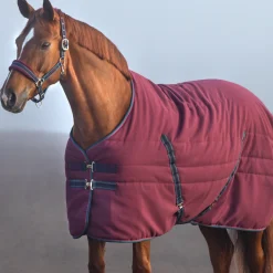 Horseware Ireland Rambo Stable 100g
