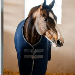 Horseware Ireland Rambo Stable 400g