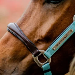 Horseware Ireland Signature Competition Headcollar