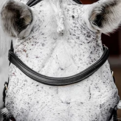 Horseware Micklem Competition Bridle